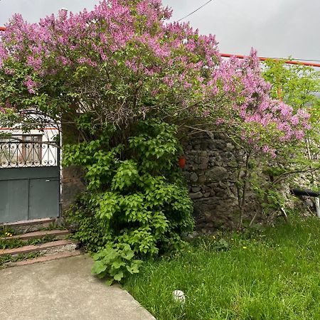 Soso Burduli'S Guesthouse Kazbegi Ngoại thất bức ảnh